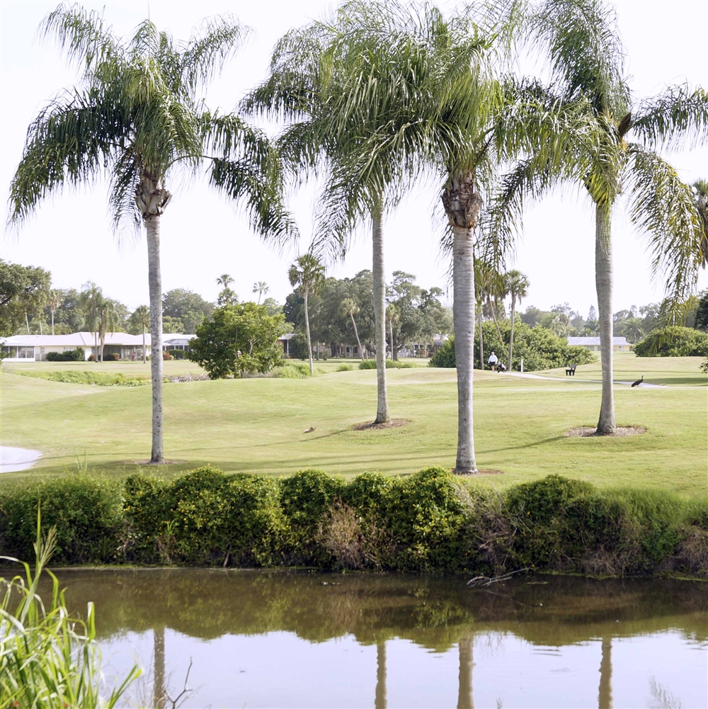 Market Snapshot Gulf Gate Woods, Sarasota Photo Galleries